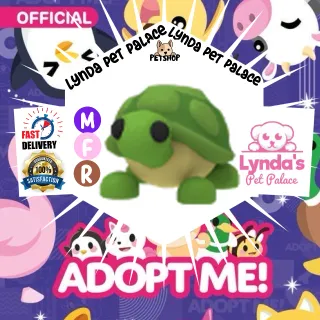 Mega Neon MFR Turtle