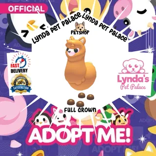 Alpaca (Full Grown)