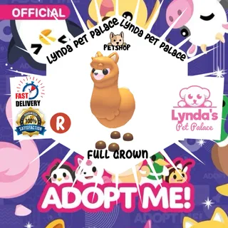 Ride Alpaca (Full Grown)