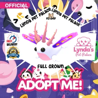 Sea Slug (full grown)