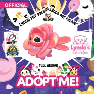 Cupid Dragon (Full Grown)