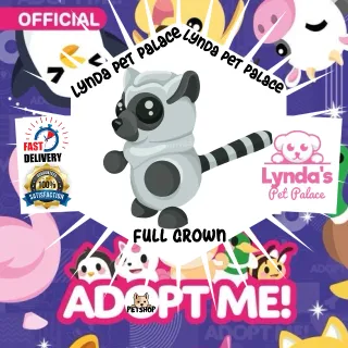 Ring-Tailed Lemur (full grown)