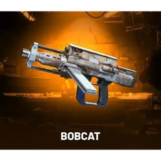 ARC Raiders Weapons Bobcat IV