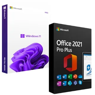 Windows 11 Pro + Microsoft Office 2021 Professional Plus
