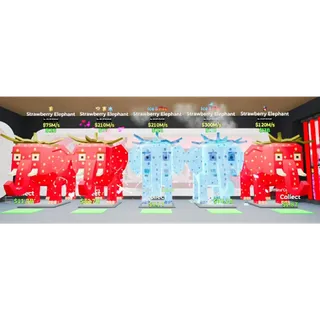 5x Strawberry Elephant