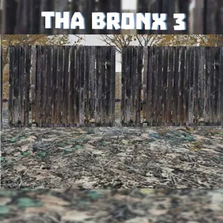 Bronx 3 Money Service | $2.970.000