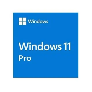 Windows 11
