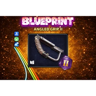 Blueprint Angled Grip II