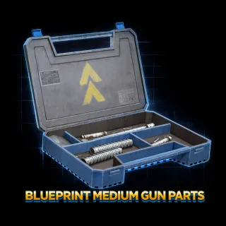 Blueprint Medium Gun Parts