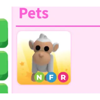 Nfr albino monkey 