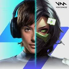 Voicemod Pro 1 Month Key Global