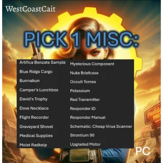 Pick 1 Displayable Misc Item