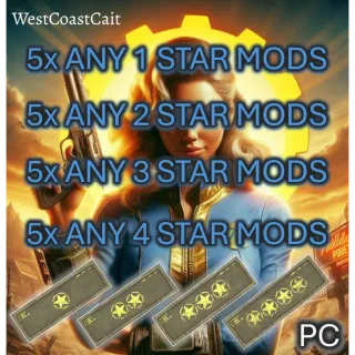 5x 1, 2, 3 & 4 Star Mods