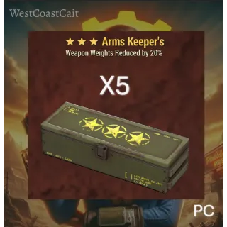 Arms Keeper's Legendary Mods x5