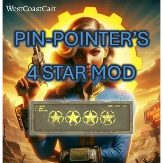 Pin-Pointer's 4 Star Mod