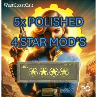 5x Polished 4 Star Mod's