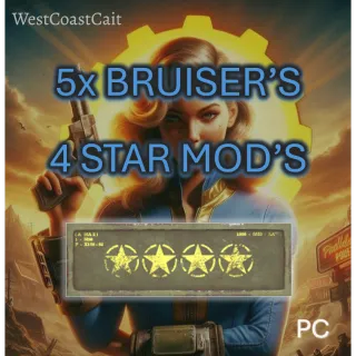 5x Bruiser's 4 Star Mods