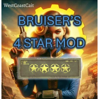 Bruiser's 4 Star Mod