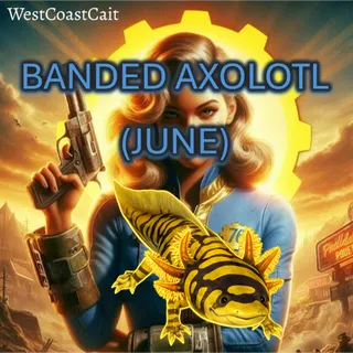 Banded Axolotl (June)