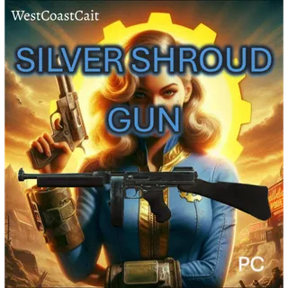 Silver Shroud Gun DEV ROOM