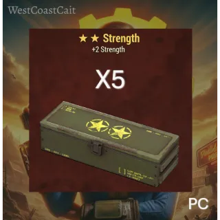 Strength Legendary Mods x5