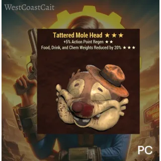 Tattered Mole Head AP Thru Hiker