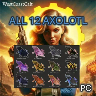 All 12 Axolotl's