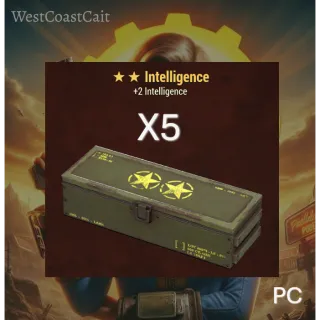 Intelligence Legendary Mods x5