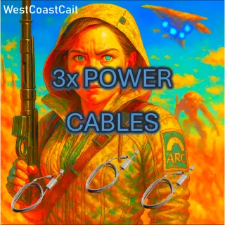 3x Power Cables