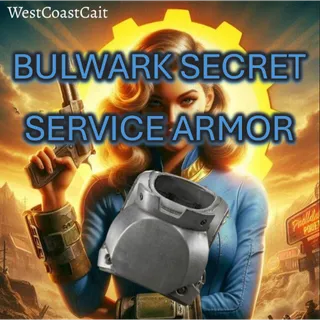 Bulwark Secret Service Armor