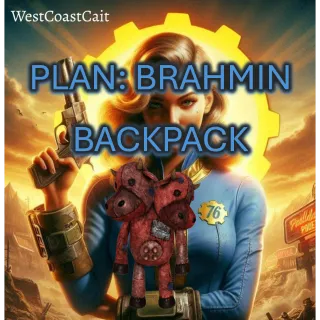 Plan: Brahmin Backpack