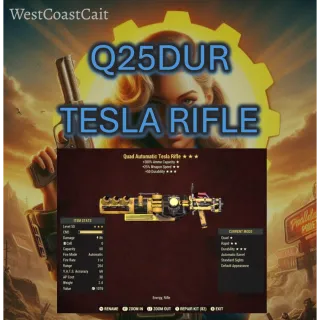 Q25DUR Tesla Rifle