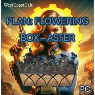 Plan: Flowering Box - Aster