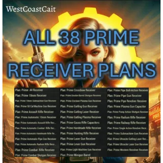 All 38 Prime Receiver Weapon Plans