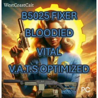 B5025 Fixer