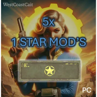 5x 1 Star Mod's