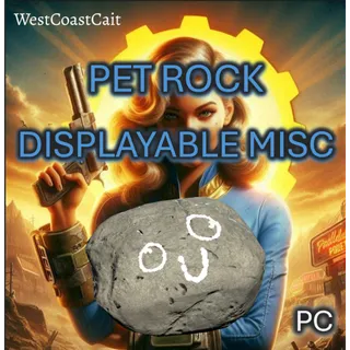 Pet Rock Displayable Misc