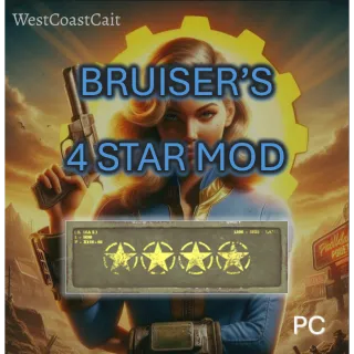 Bruiser's 4 Star Mod