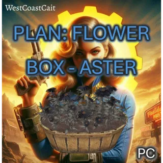 Plan: Flower Box - Aster