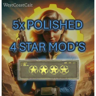 5x Polished 4 Star Legendary Mods