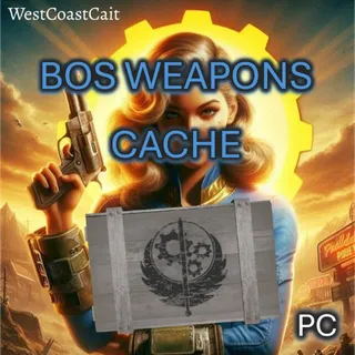 BOS Weapons Cache Displayable Misc