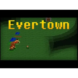 Evertown Steam Key Global (Instant)