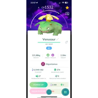 Pokemon GO | Shiny Gigantamax Venusaur with Dark Sky Background| 24/7 Fast & Safe