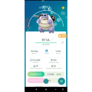 Pokemon GO | 300 CANDY XL Farming Any Pokemon Ur Choice| 24/7 Fast & Safe