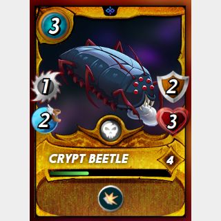 Crypt Beetle