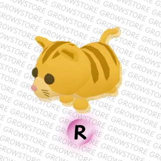 Ginger Cat [R]