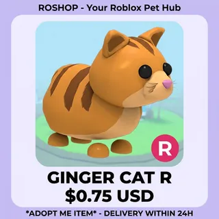 Ginger Cat R