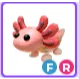 FR Axolotl