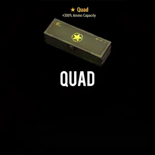 Quad Mod