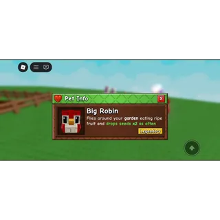 BIG ROBIN